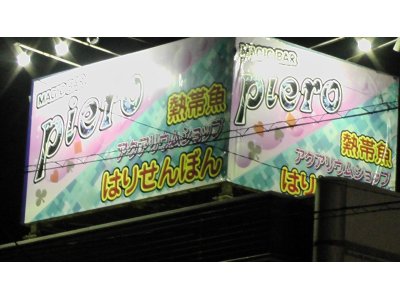 そういえば・・・