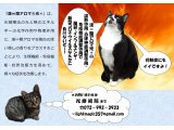 漢∞蘭アロマ光+で免疫力を高めて元気な毎日を送りましょう