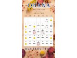 OHANAヨガスタジオ 11月の営業カレンダーが出来上がりました。
