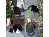 おはようございます。きょうも明るい笑顔で素敵な日曜日をお過ごしください。