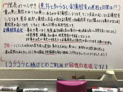 桜の散り際は綺麗ですねー・・・