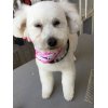 本日のお客様♪