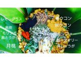 今日のソルトポット