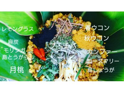 今日のソルトポット