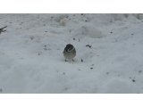 今週のご予約状況