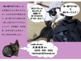漢蘭アロマ光+で元気な毎日を過ごしましょう