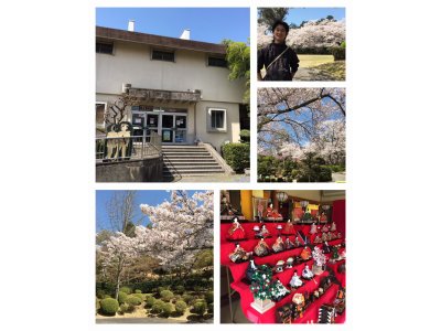 杉村公園で花見散策に行ってきました。