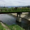 アユの稚魚放流をいたしました。8