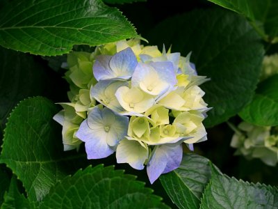 来週の予約状況 6/17-6/23