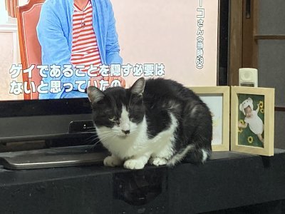 おはようございます。光療術院のひかりです。