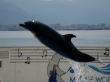 赤帽|福岡県、福岡市東区の一人暮らしの引越しは赤帽福岡マンサナ・ツー運送、♪