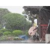 7/21（火）【雨天…6次産業】 