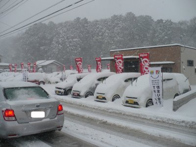 豪雪です！！