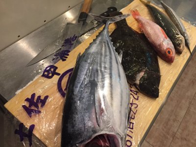 玄鳥去