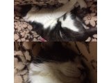 おはようございます。きょうも素敵な笑顔でよろしくお願いいたします。
