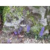 4/12【朝の元気】