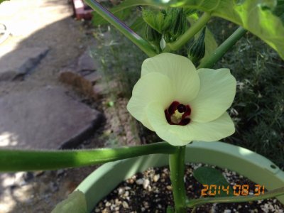 9月2日は・・