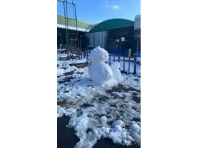 びっくりドカ雪