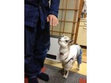 金持ち父さんの教え