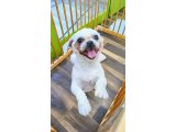 ニコちゃん