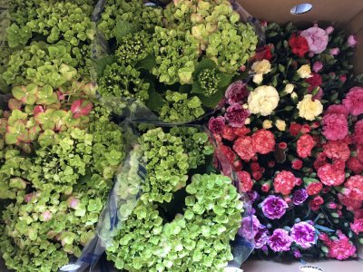 花鉢 入荷しました！