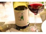 明日収穫祭のワインのご紹介　ボジョレー・ビラージュ　フレデリックソルナン
