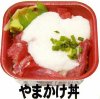 やまかけ丼