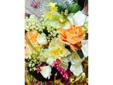 謹賀新年 2017