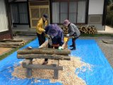 シイタケ原木栽培