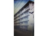 【江東区営住宅建て替え時の移転費・引越費・移転先・新居の新家賃・間取りの豆知識】