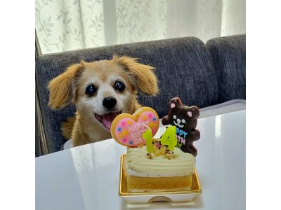 うちの子も14才になりました・・・