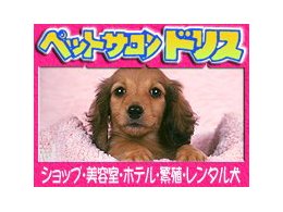 レンタル犬入会金無料券！