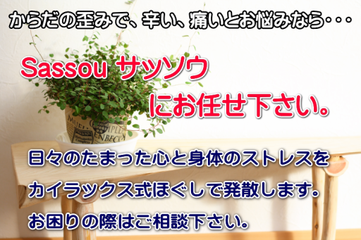 Sassou サッソウ 中津市の整体なら つらい痛み 骨盤矯正 耳つぼダイエットなどお任せ下さい