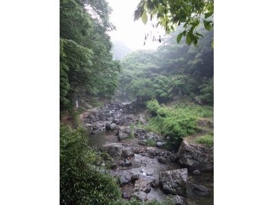 雨の摂津峡