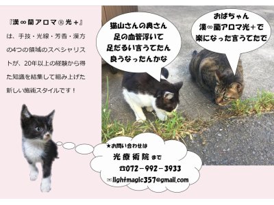 光療術院（ひかりりょうじゅついん）にゃんこ劇場