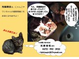 光療術院(ひかりりょうじゅついん)にゃんこ劇場