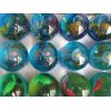 見てるだけで涼しい！水族館ボールが新入荷しました。