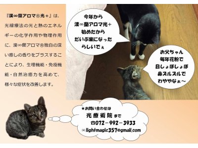 漢∞蘭アロマ光+で花粉症も大丈夫