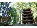 NO JOURNEY NO LIFE 奈良編 室生寺#2