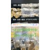 -富山県魚津市-純金メダル・コイン・銀貨・プラチナコイン・メイプル金貨・記念金貨・小判売るならイーショップス