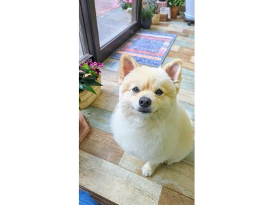 たろうくん