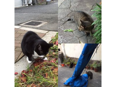 おはようございます。きょうも元気な笑顔でよろしくお願いいたします。