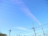 心が折れました。