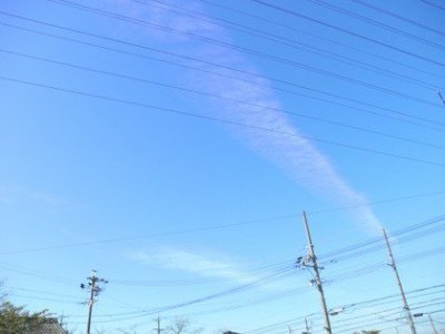 心が折れました。