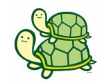 5/23　世界亀の日(World Turtle Day)だそうです。
