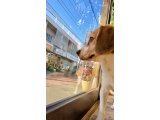 サラちゃん