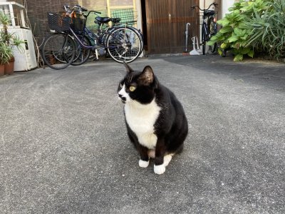 おはようございます。きょうも一日、ハッピーな笑顔で頑張りましょう。