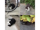 おはようございます。きょうも一日元気な笑顔でよろしくお願いいたします。