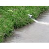 4/17『台風を思わせる風雨でした』…20:30現在も雨が降ってます。