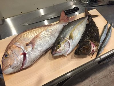 ウサギは寂しさより高温多湿に弱い(笑)